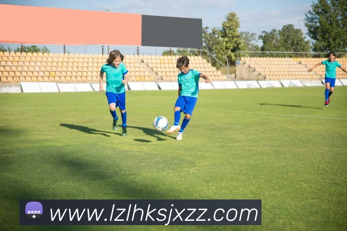 世界杯app官网平台生态图